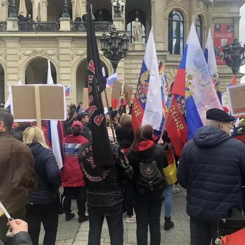 pro putin demo frankfurt
