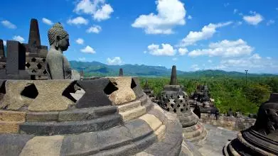 global history banner