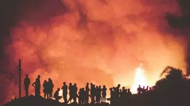 Martha Newson's Research